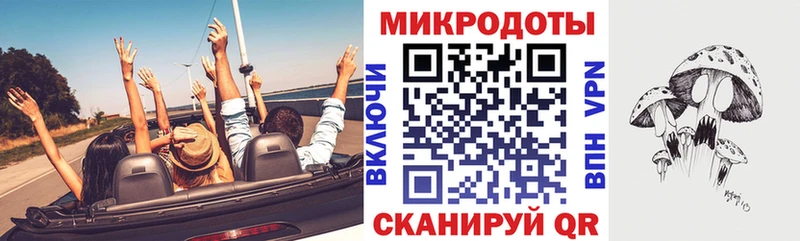 KRAKEN ТОР  Туймазы  Псилоцибиновые грибы мицелий 